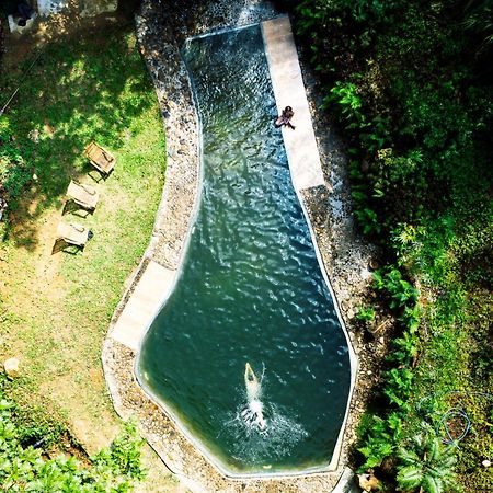 Natural Mystic Sanctuary دينيايا المظهر الخارجي الصورة