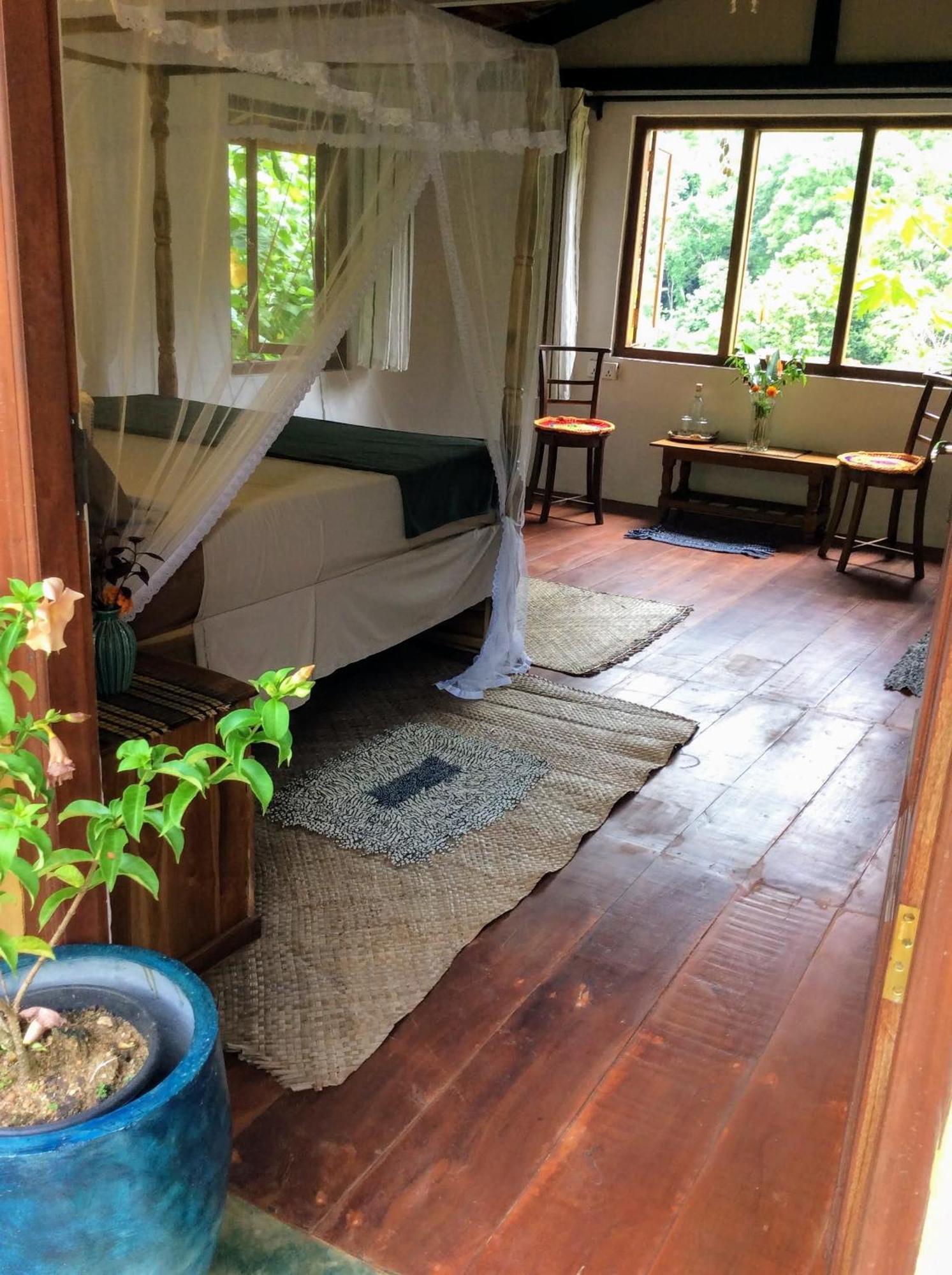Natural Mystic Sanctuary دينيايا الغرفة الصورة