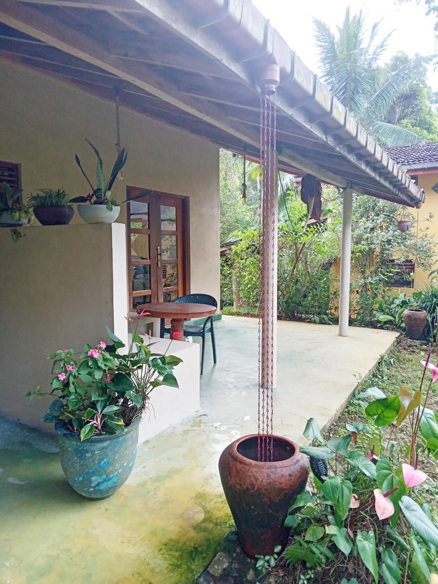 Natural Mystic Sanctuary دينيايا المظهر الخارجي الصورة