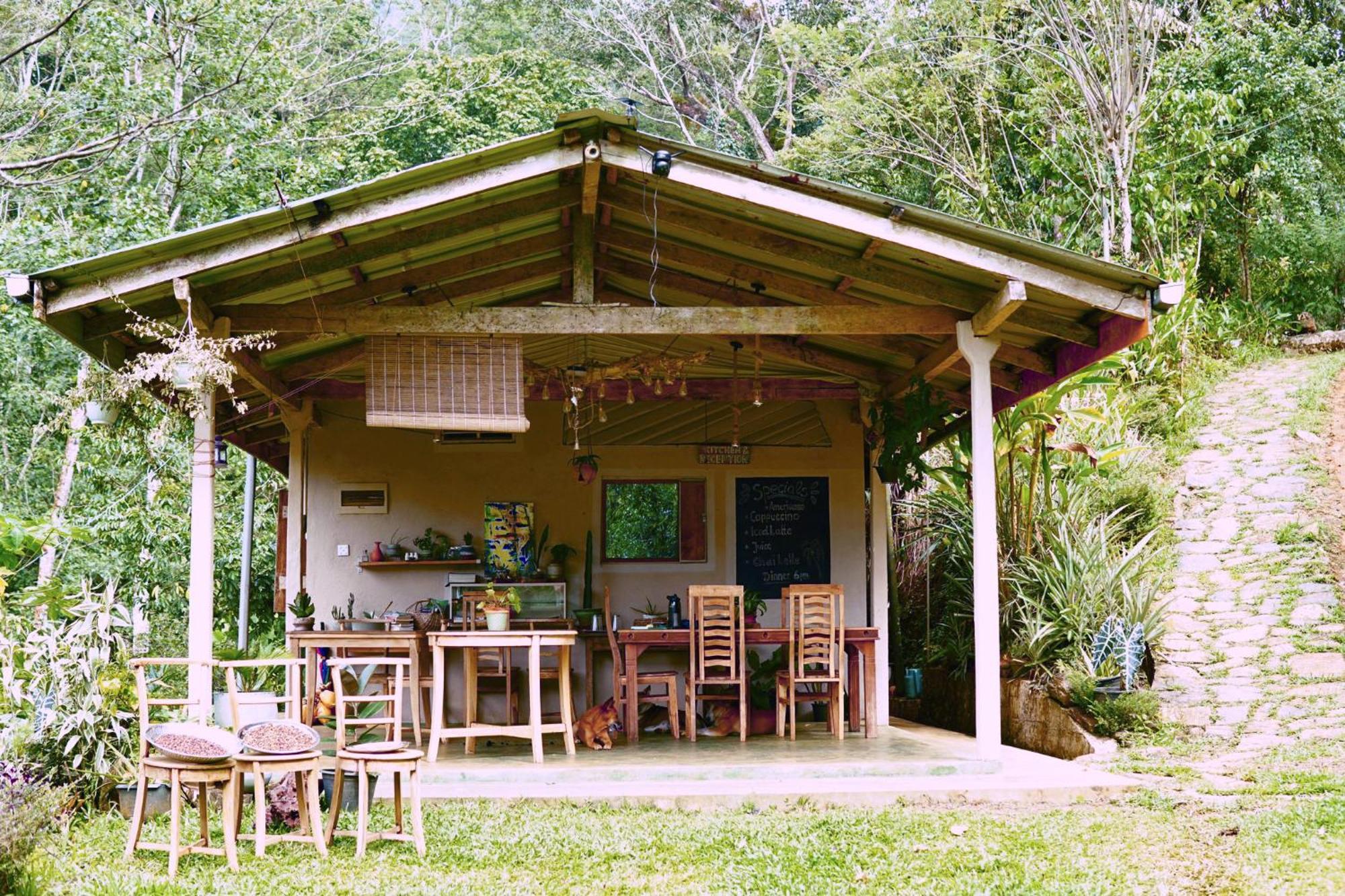 Natural Mystic Sanctuary دينيايا المظهر الخارجي الصورة