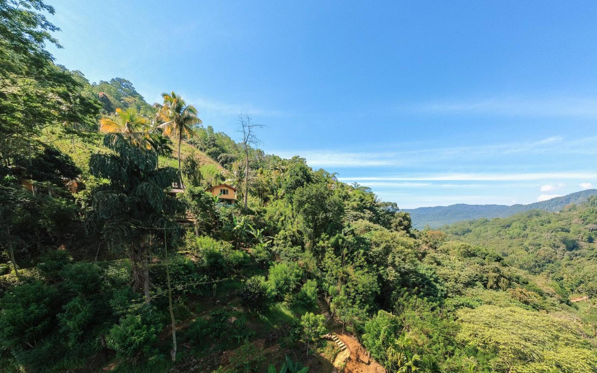 Natural Mystic Sanctuary دينيايا المظهر الخارجي الصورة