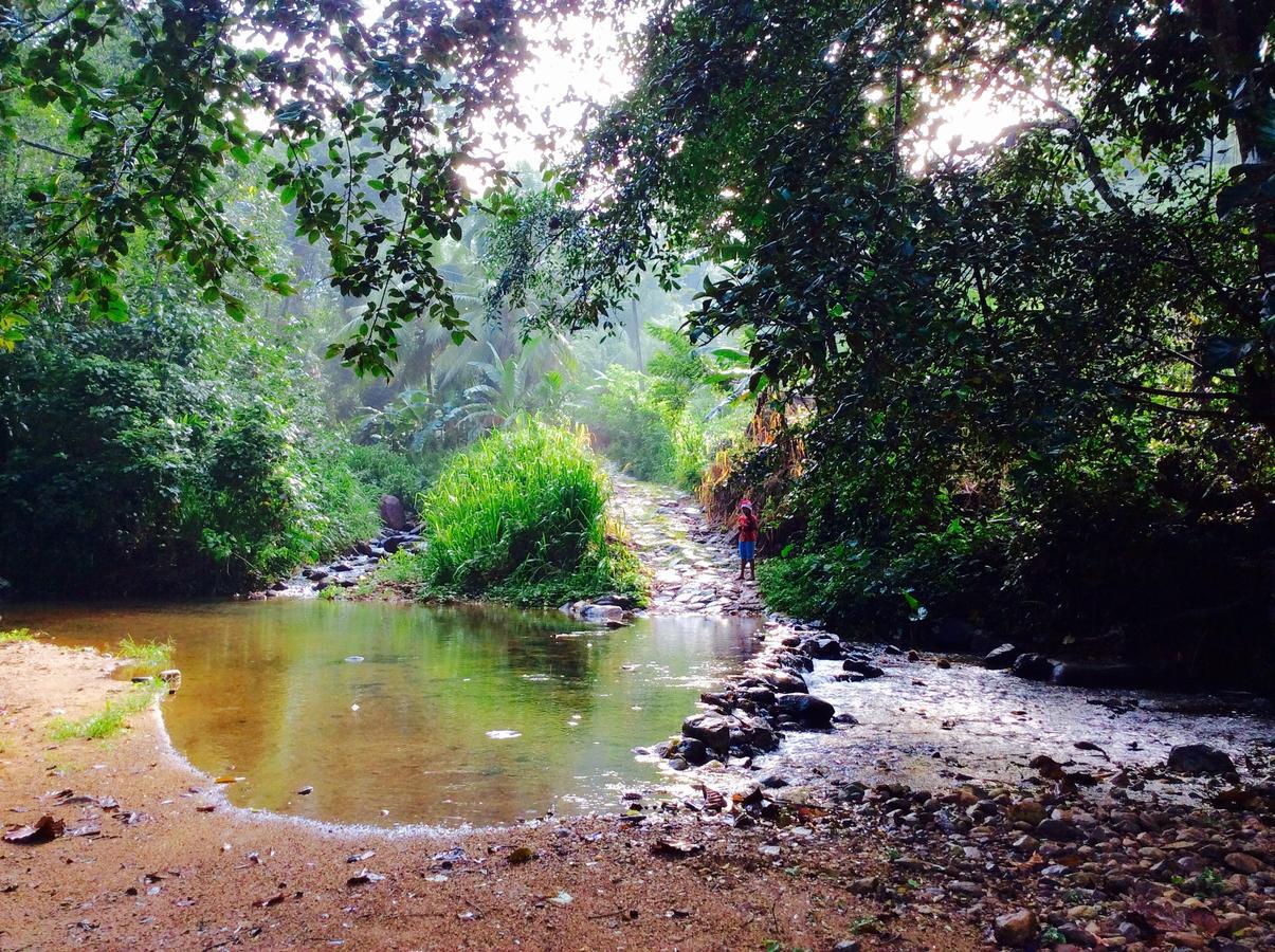 دينيايا Natural Mystic Sanctuary المظهر الخارجي الصورة