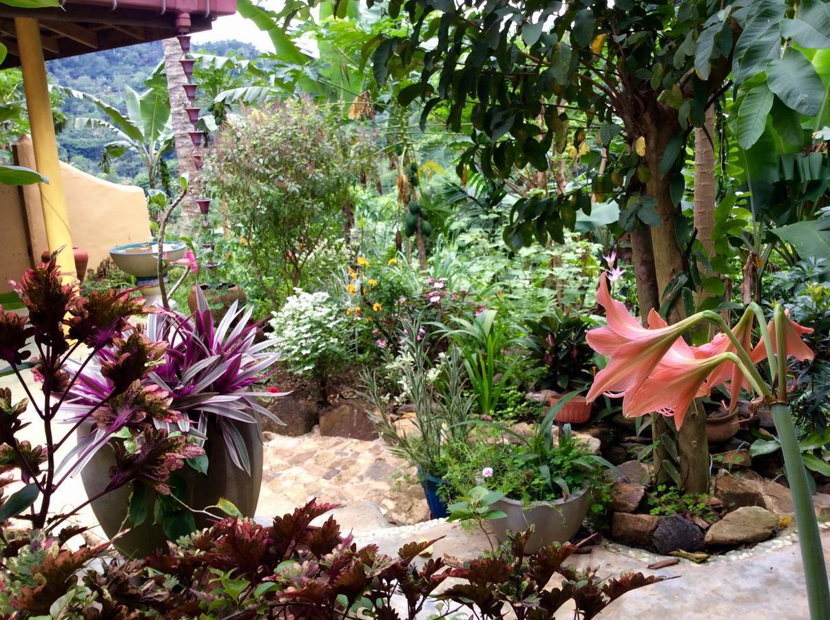 Natural Mystic Sanctuary دينيايا المظهر الخارجي الصورة