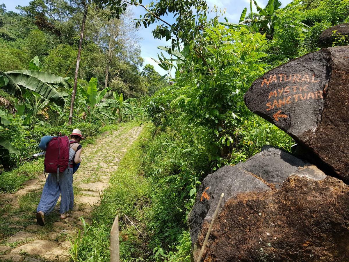 دينيايا Natural Mystic Sanctuary المظهر الخارجي الصورة