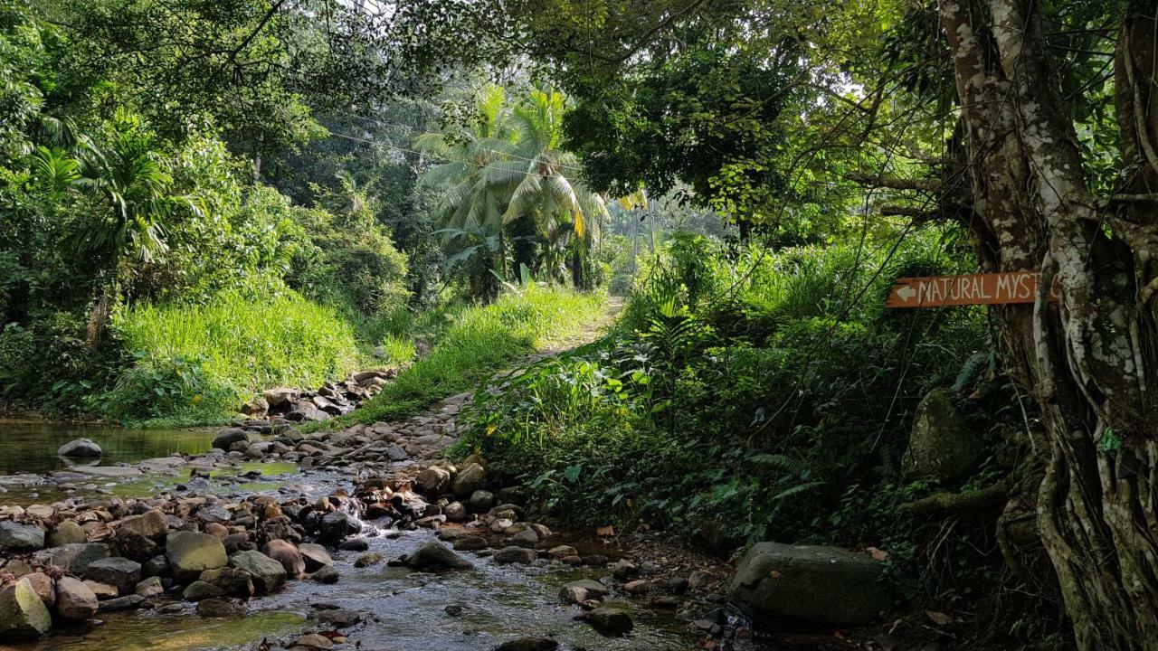 دينيايا Natural Mystic Sanctuary المظهر الخارجي الصورة