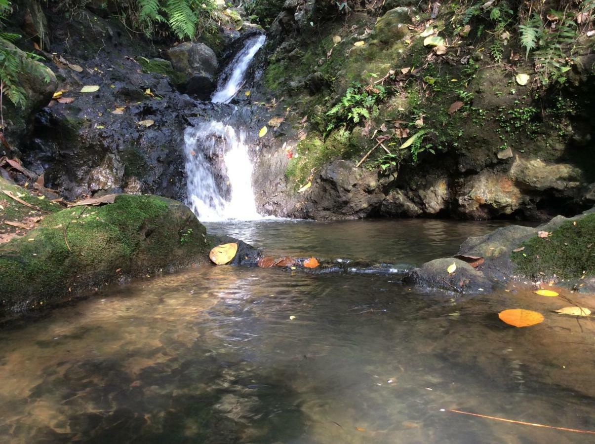 دينيايا Natural Mystic Sanctuary المظهر الخارجي الصورة