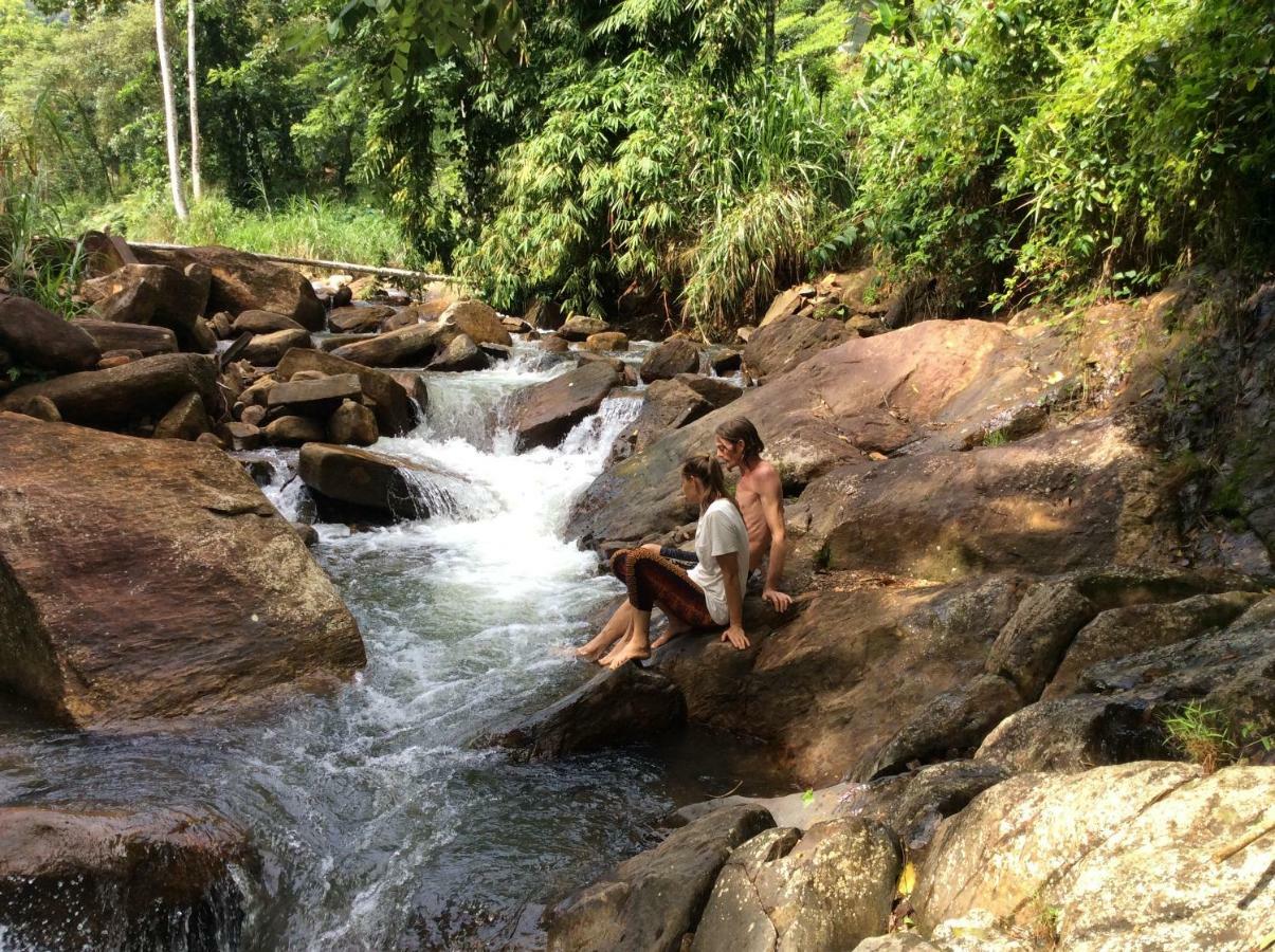 دينيايا Natural Mystic Sanctuary المظهر الخارجي الصورة