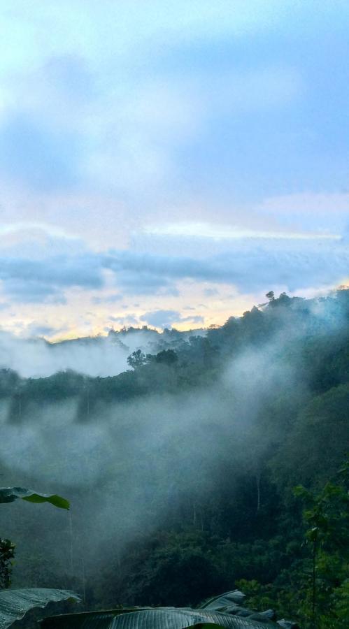 Natural Mystic Sanctuary دينيايا المظهر الخارجي الصورة